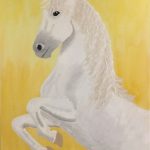 Running Wild and Free