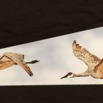 Saws and Other Implements